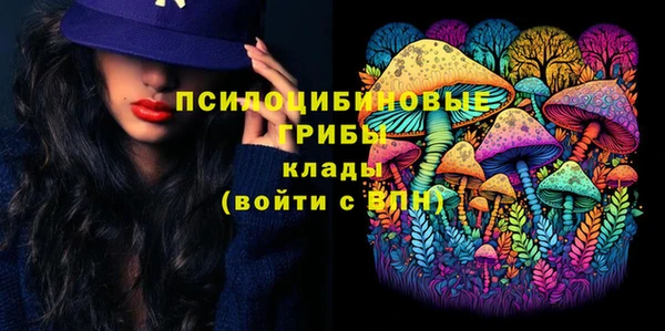 ПСИЛОЦИБИНОВЫЕ ГРИБЫ Магадан