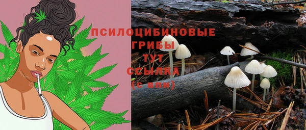 ПСИЛОЦИБИНОВЫЕ ГРИБЫ Магадан
