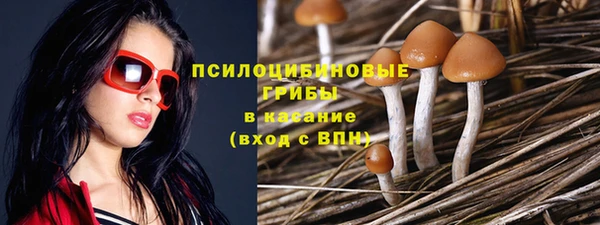ПСИЛОЦИБИНОВЫЕ ГРИБЫ Магадан
