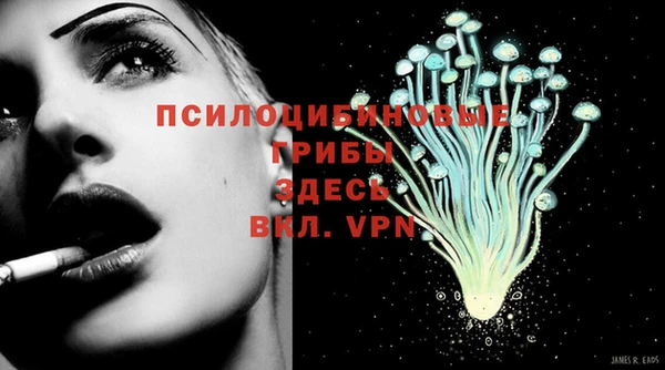 mix Магас