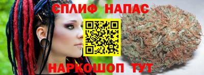 мдпв Дубна