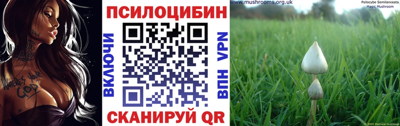 Псилоцибиновые грибы Magic Shrooms  Мариинск 