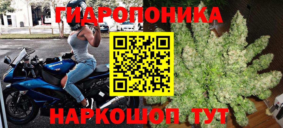 Мариинск  Каннабис тримм  МАРИХУАНА Bruce Banner  Вход с VPN 